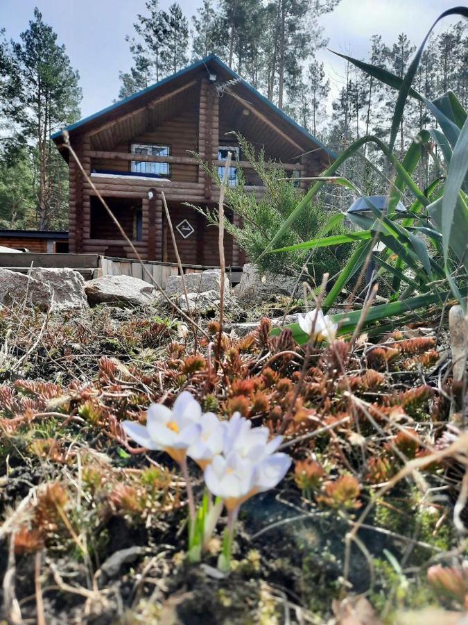 Eco Dom V Lesu Konuk evi Bila Krynytsia Dış mekan fotoğraf