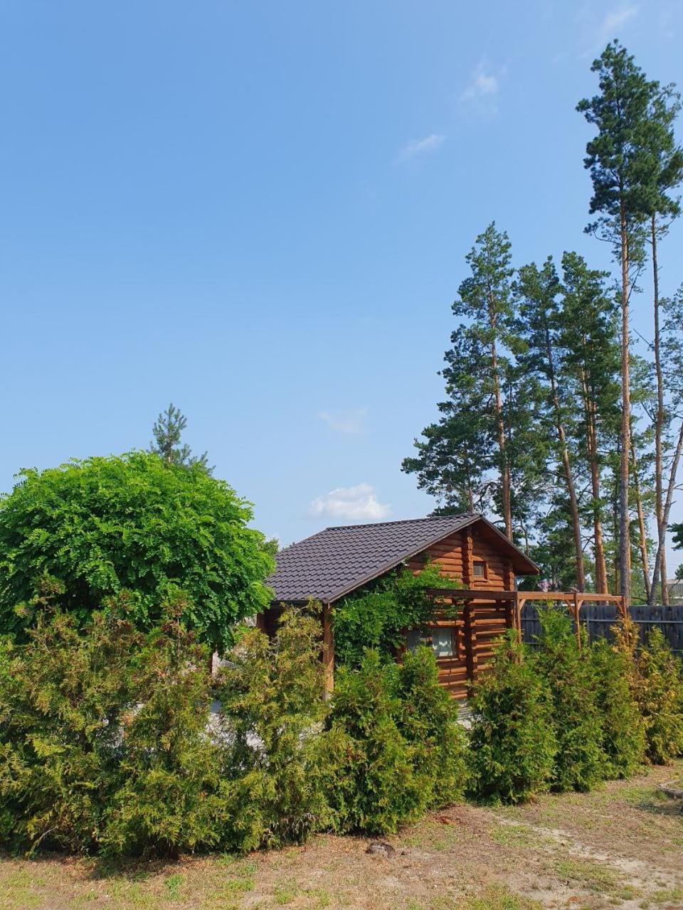 Eco Dom V Lesu Konuk evi Bila Krynytsia Dış mekan fotoğraf