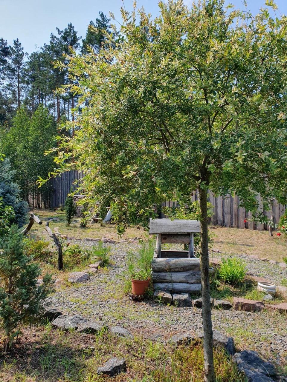 Eco Dom V Lesu Konuk evi Bila Krynytsia Dış mekan fotoğraf