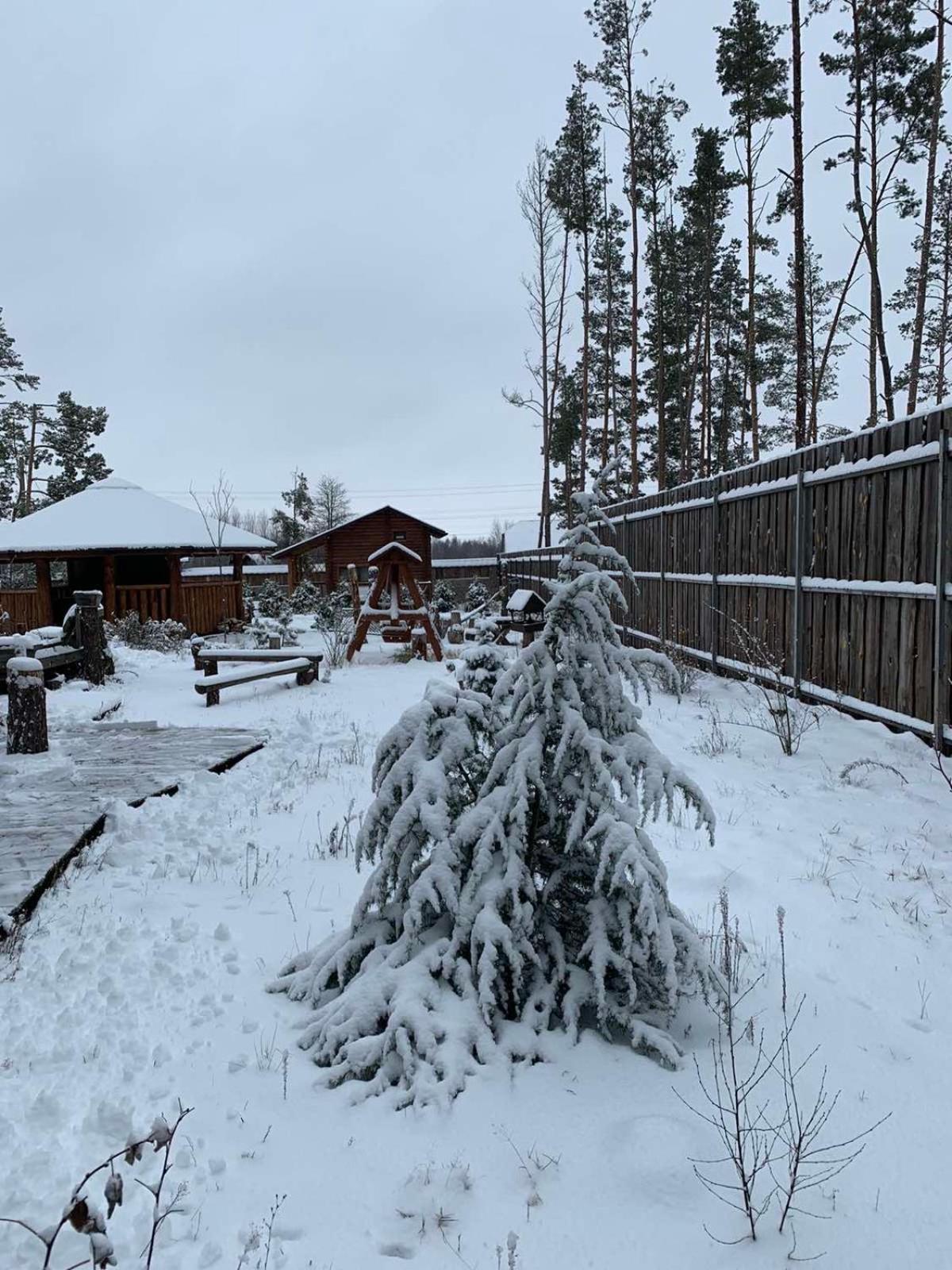 Eco Dom V Lesu Konuk evi Bila Krynytsia Oda fotoğraf