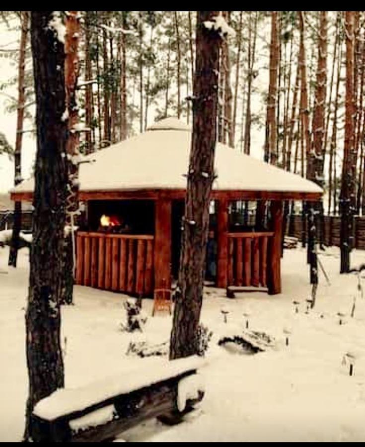 Eco Dom V Lesu Konuk evi Bila Krynytsia Dış mekan fotoğraf