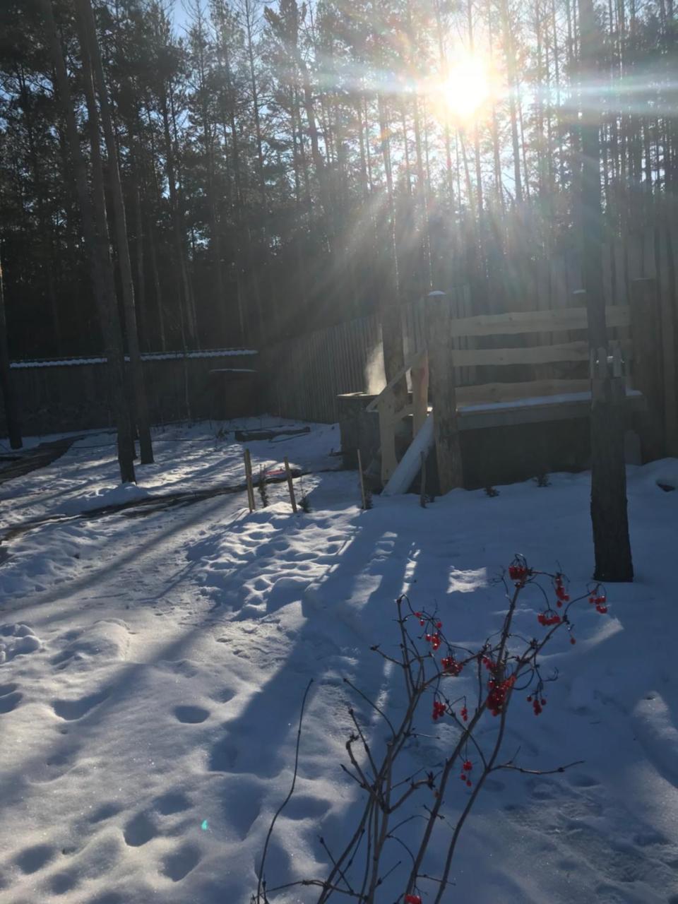 Eco Dom V Lesu Konuk evi Bila Krynytsia Dış mekan fotoğraf