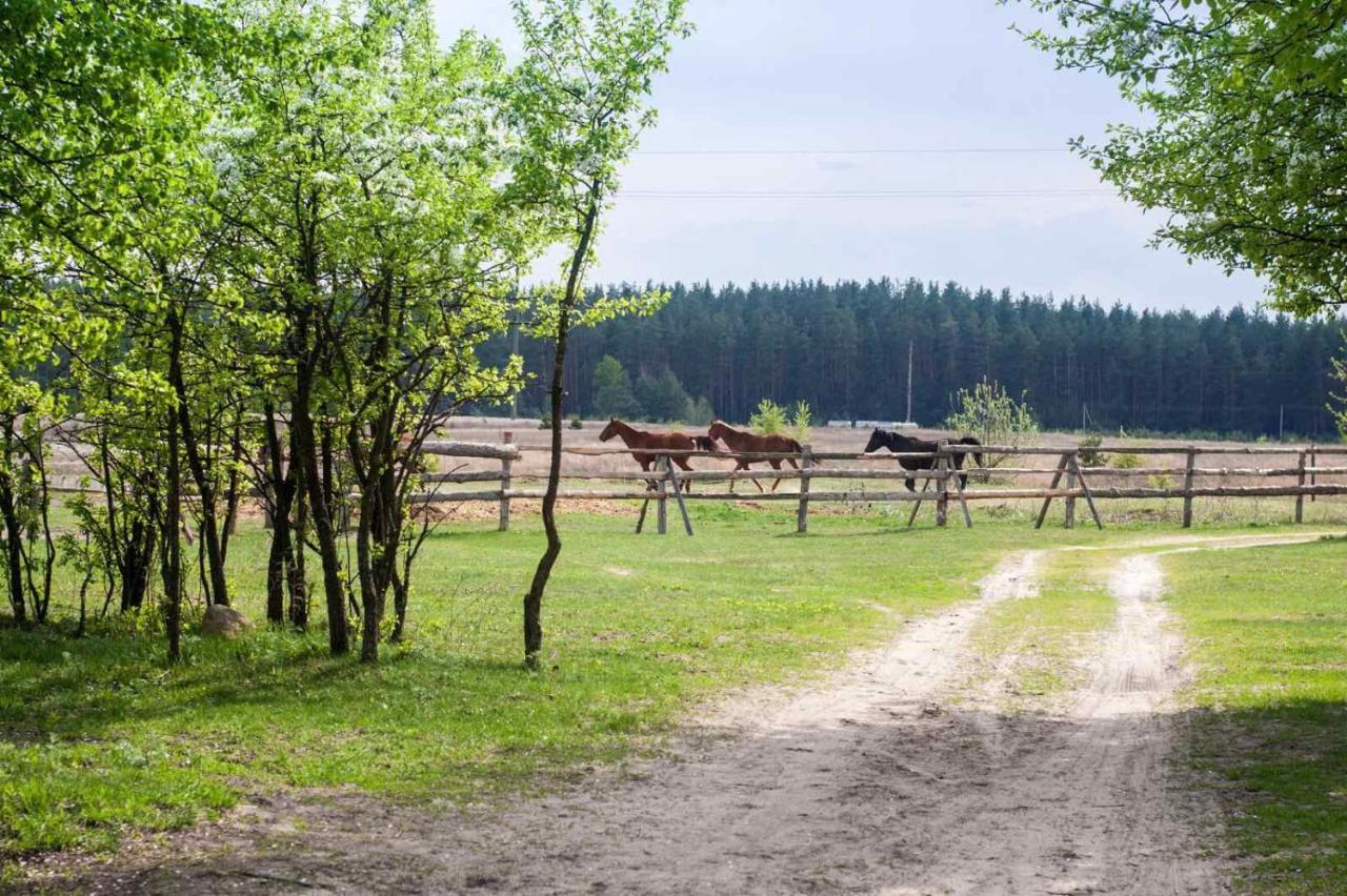 Eco Dom V Lesu Konuk evi Bila Krynytsia Dış mekan fotoğraf