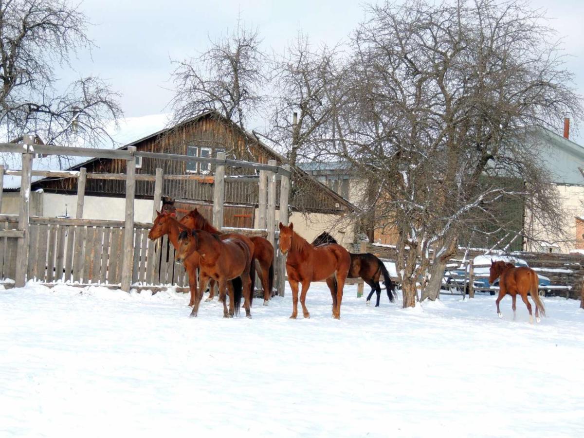 Eco Dom V Lesu Konuk evi Bila Krynytsia Dış mekan fotoğraf