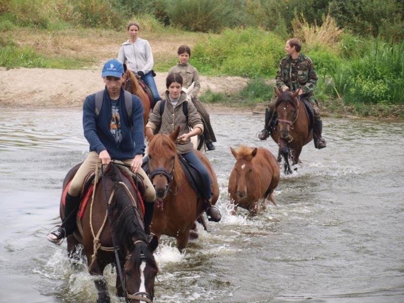 Eco Dom V Lesu Konuk evi Bila Krynytsia Dış mekan fotoğraf