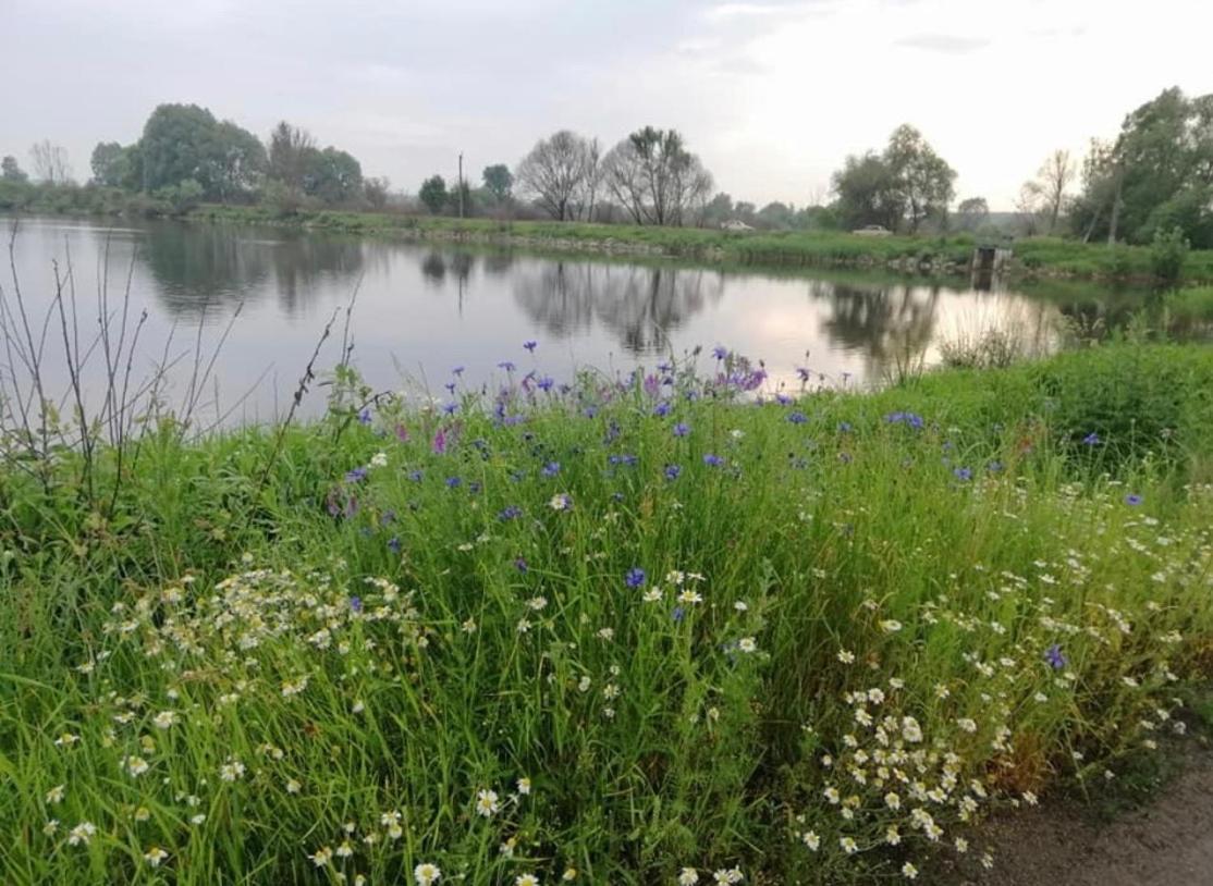 Eco Dom V Lesu Konuk evi Bila Krynytsia Dış mekan fotoğraf